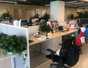 华云互联注册卡（0月租卡）