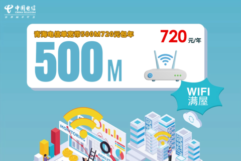 青海电信单宽带500M套餐