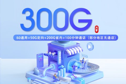 山东移动专属卡【29元300G+100分钟】套餐简介