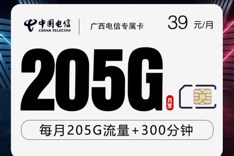 广西电信【39元205G+300分钟】套餐简介