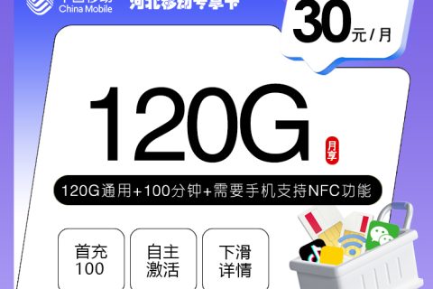 河北移动专享卡【30元120G+100分钟】套餐简介