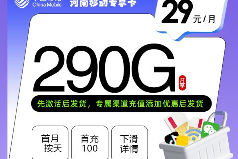 河南移动专享卡【29元290G+400分钟】套餐简介