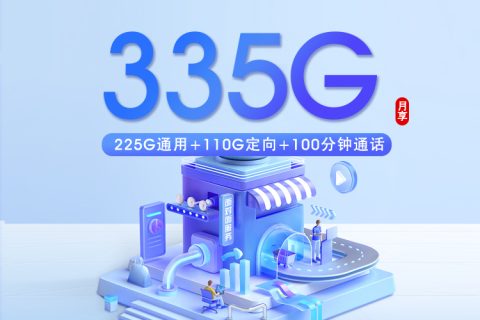 湛江电信专享卡【29元335G+100分钟】套餐简介